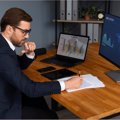 Professional auditors